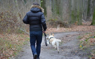 Man walking dog through the woods